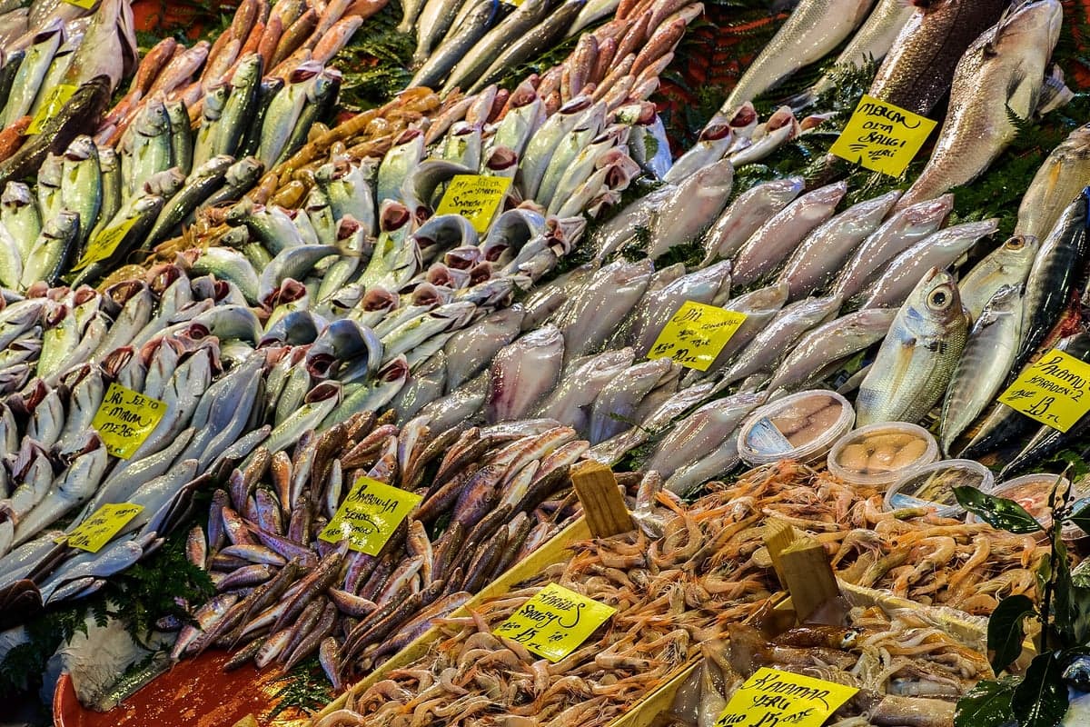 Fresh fish arranged at the Besiktas market